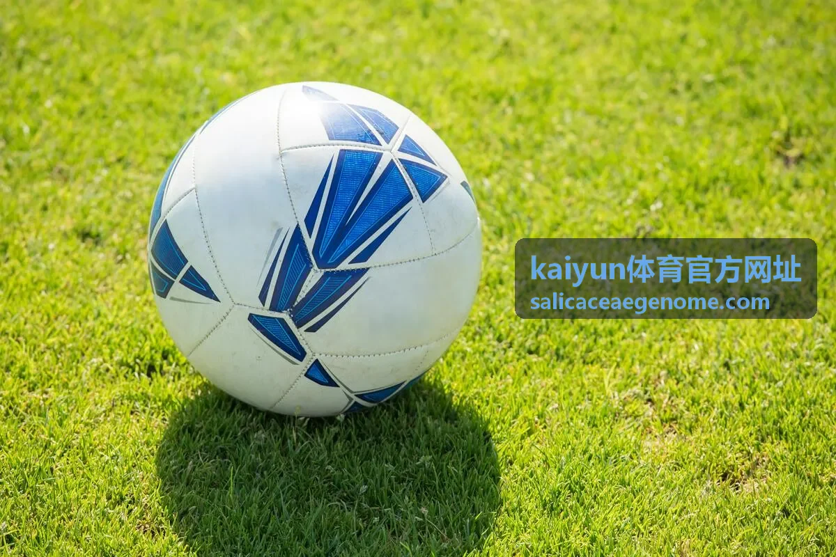 kaiyun体育官方网址赛事快讯的密集赛程时间安排封面