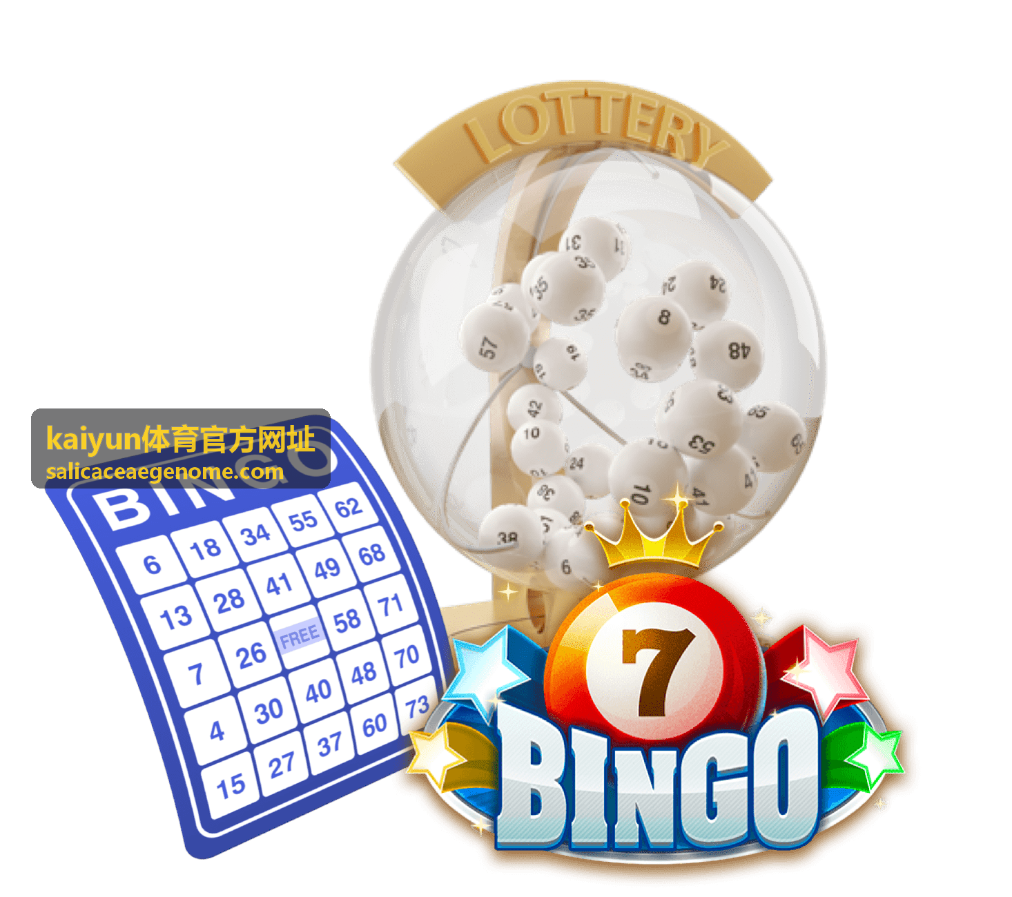 kaiyun体育官方网址 数据观察中的历史交手样本示意图