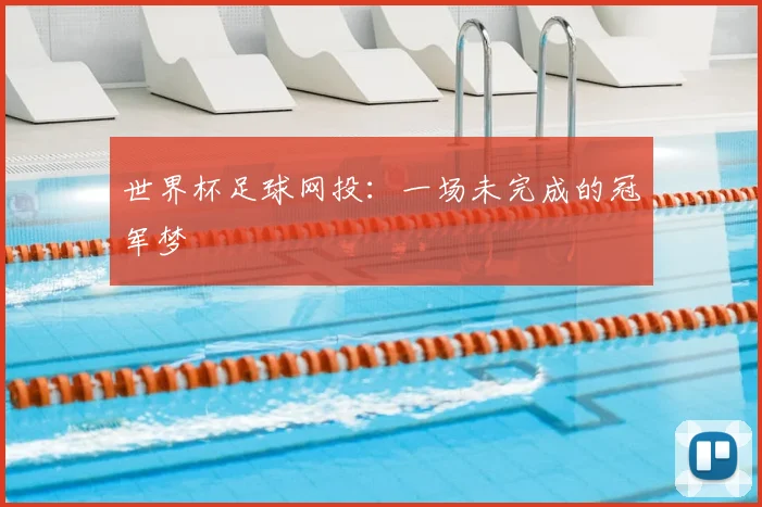 世界杯足球网投:一场未完成的冠军梦