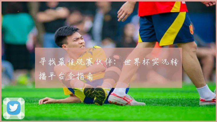 寻找最佳观赛伙伴:世界杯实况转播平台全指南