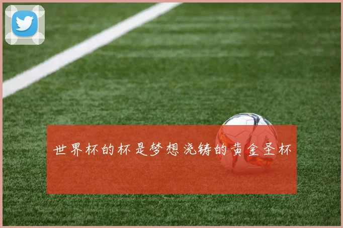 世界杯的杯是梦想浇铸的黄金圣杯