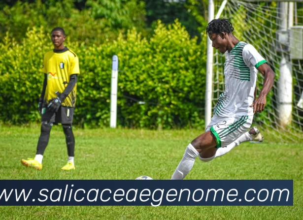 kaiyun官方在线登录APP 封面图